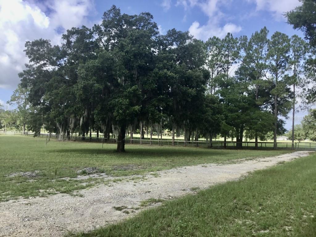 LAKE BONABLE ESTATES - Residential