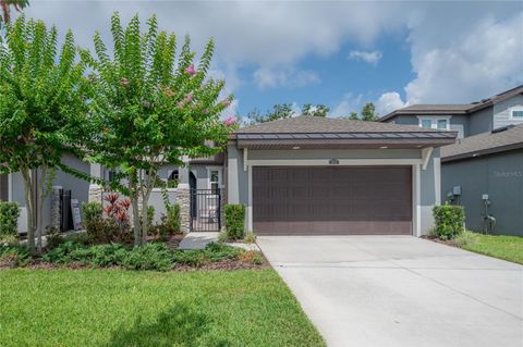 212 VILLA LUNA LANE LUTZ FL 33549