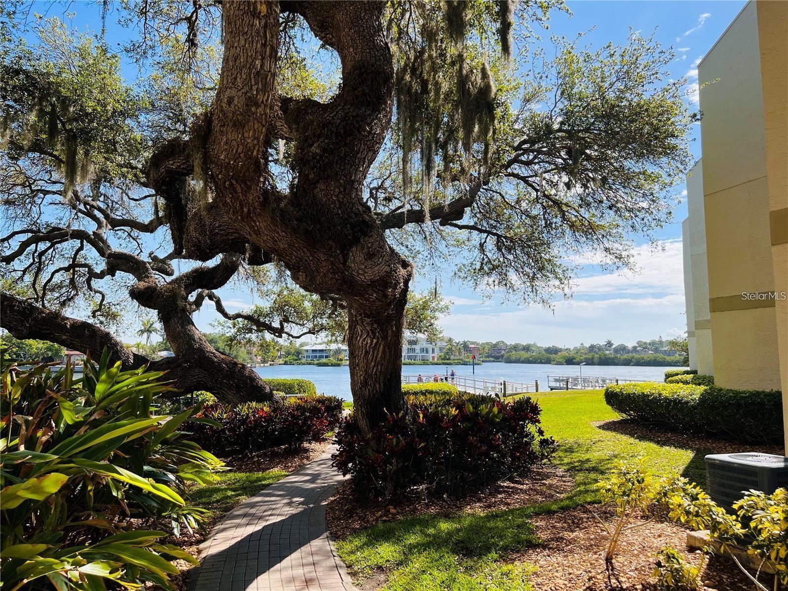 BAY OAKS - Residential