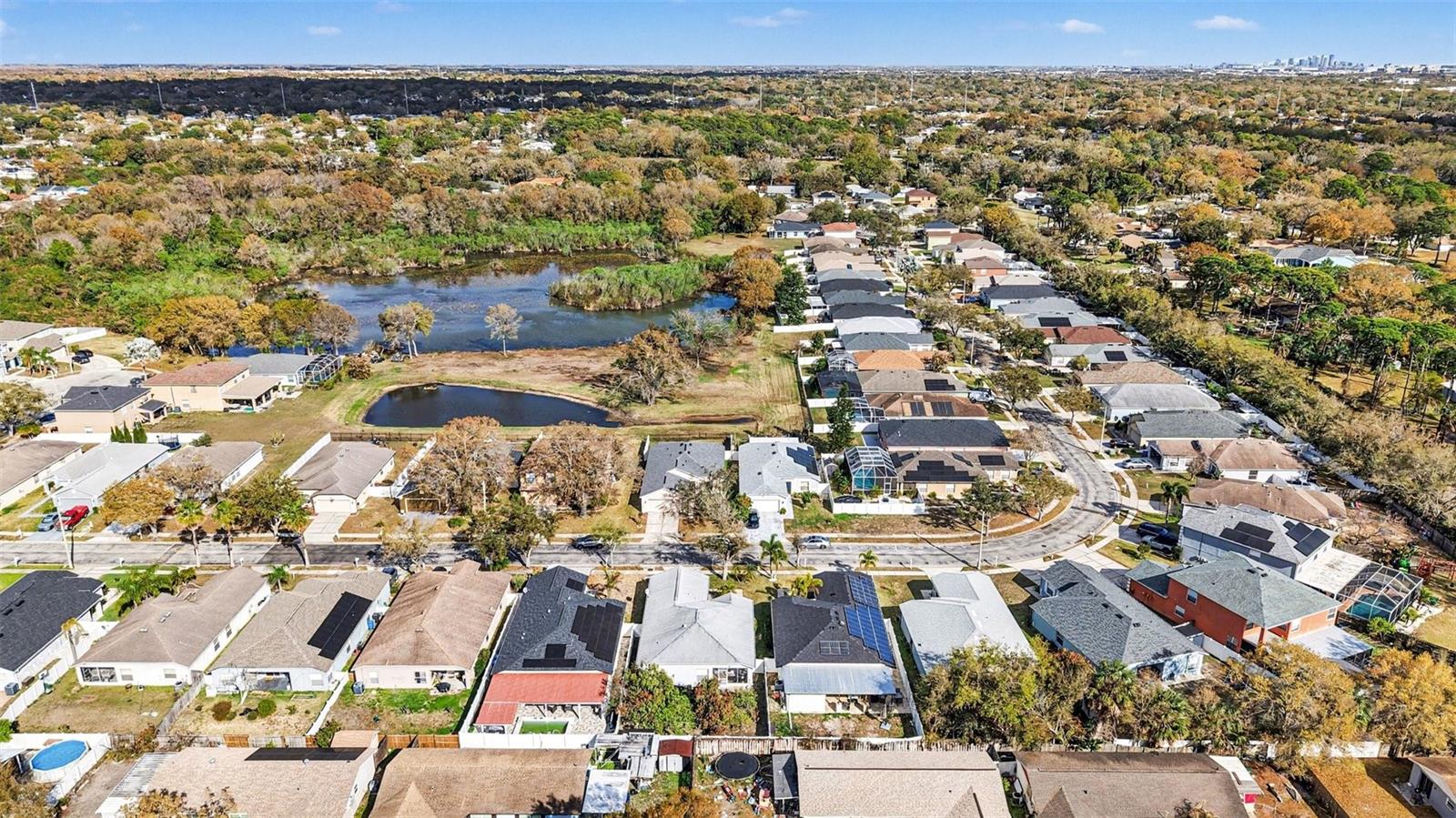 HAMILTON PARK - Residential