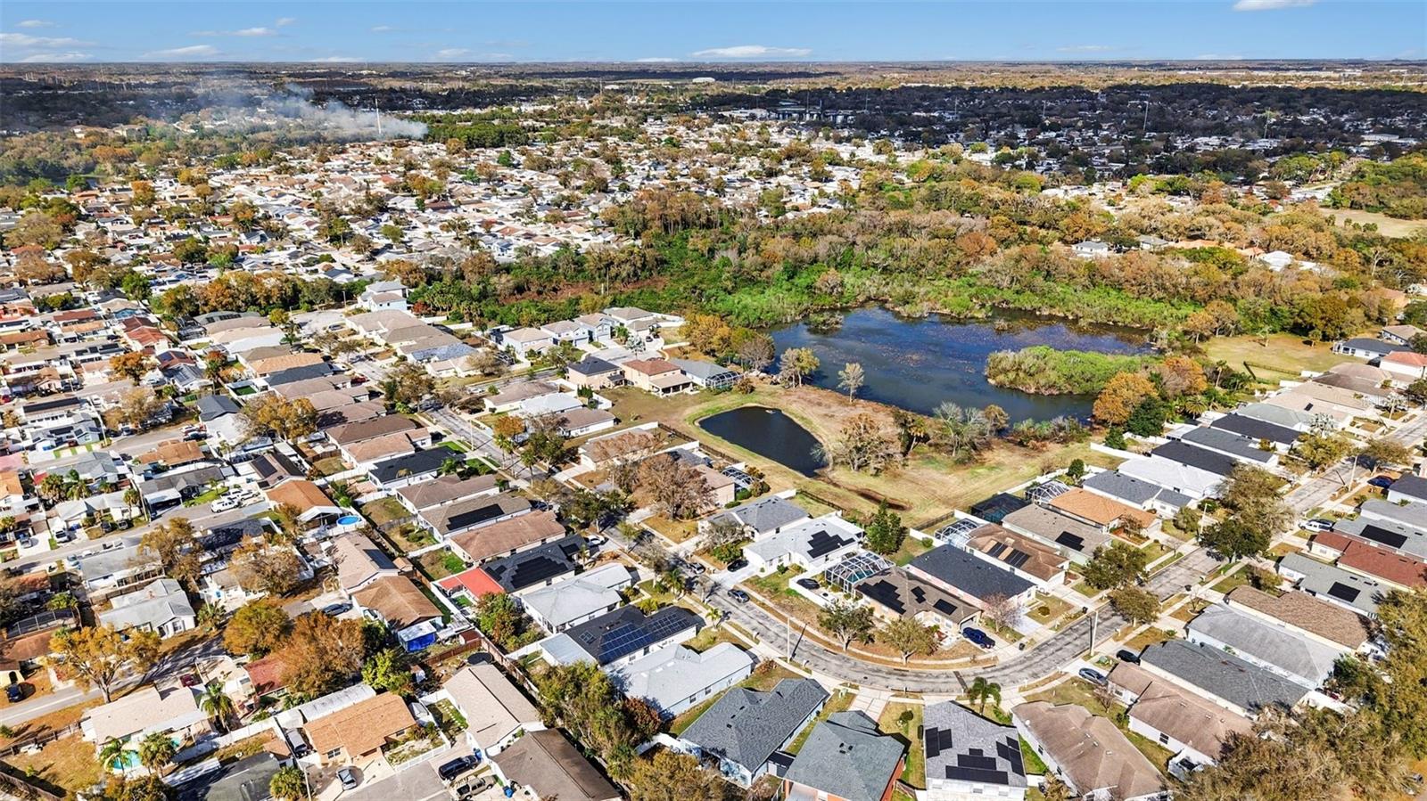 HAMILTON PARK - Residential