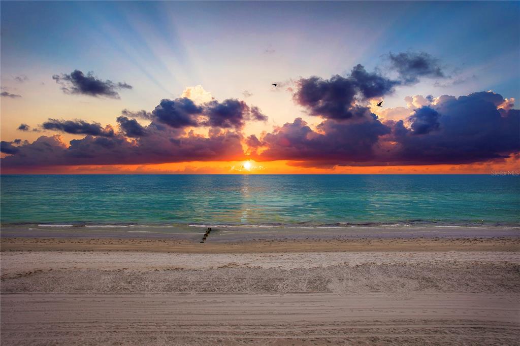 BEACH CLUB OF MADEIRA CONDO - Residential