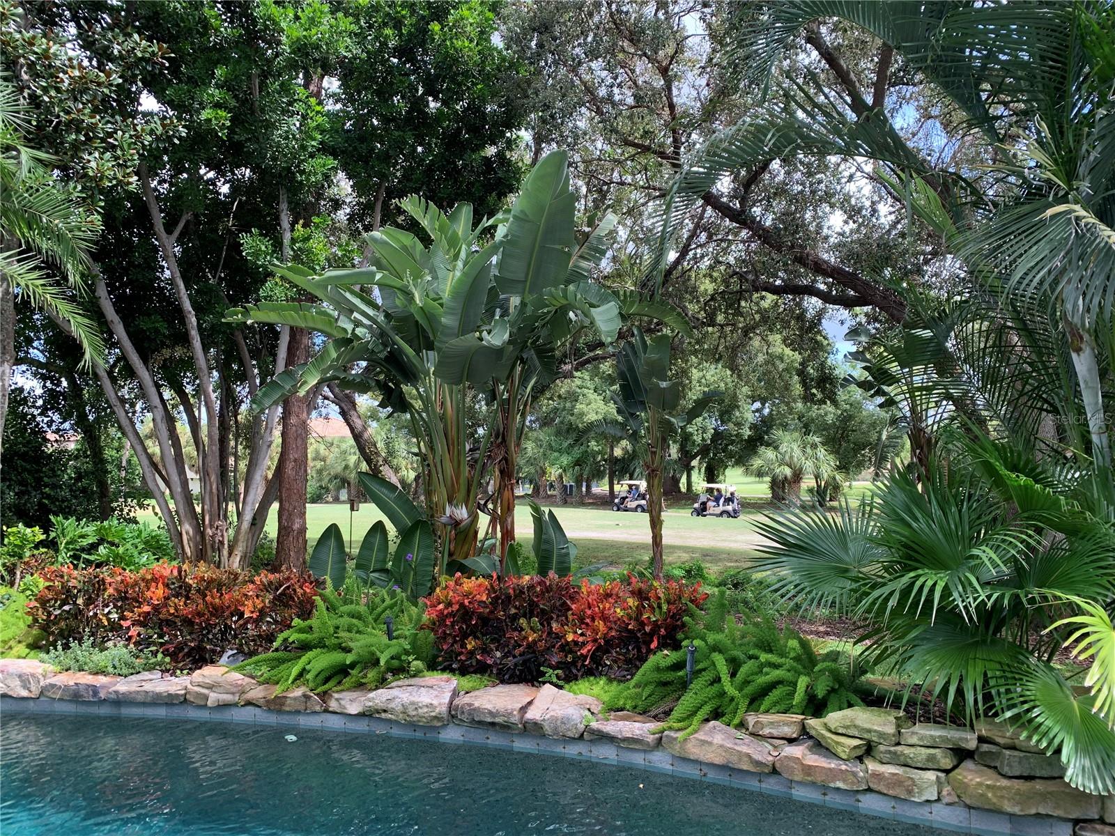 HIGHLANDS OF INNISBROOK - Residential