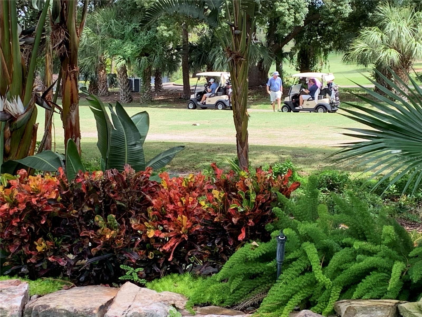 HIGHLANDS OF INNISBROOK - Residential