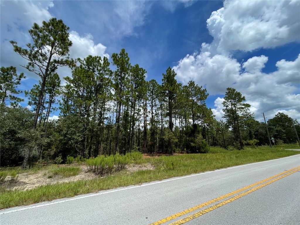 Photo of 00 SW Marine Boulevard, Dunnellon, FL 34431 (MLS # OM717489)