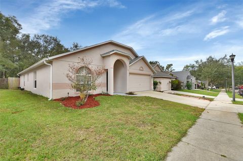 A home in ORANGE CITY