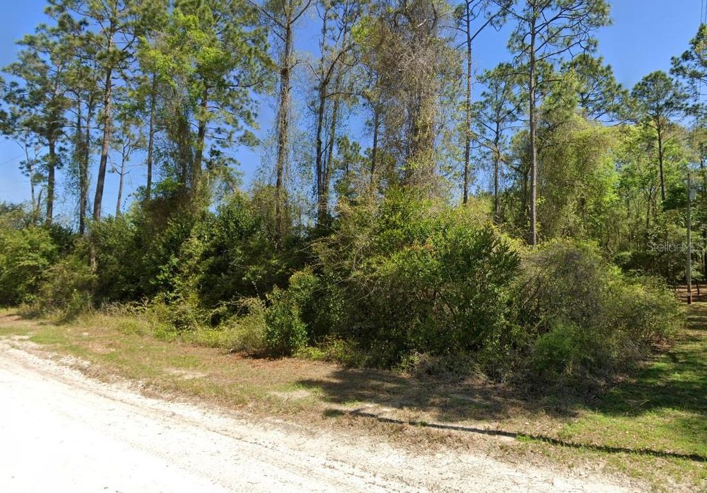 Photo of 3139 SW Mauldin Avenue, Lake City, FL 32024 (MLS # GC537883)