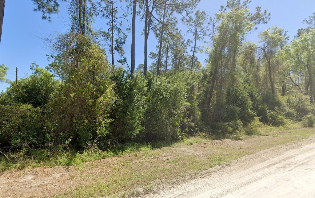 Photo of 3139 SW Mauldin Avenue, Lake City, FL 32024 (MLS # GC537883)
