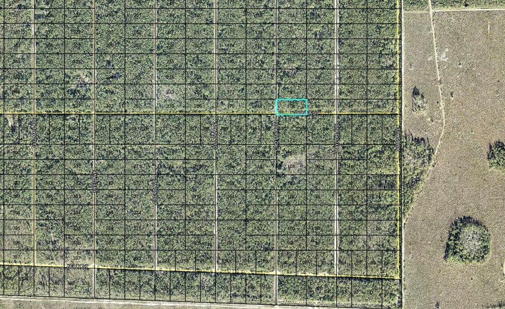 Photo of 108 Crotty Street, Hastings, FL 32145 (MLS # FC321888)