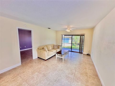 A home in FLAGLER BEACH