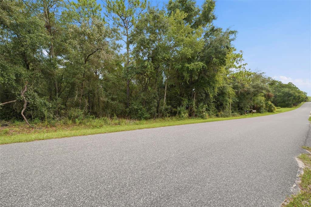 Photo of 1295 E Ray Street, Hernando, FL 34442 (MLS # TB8537392)