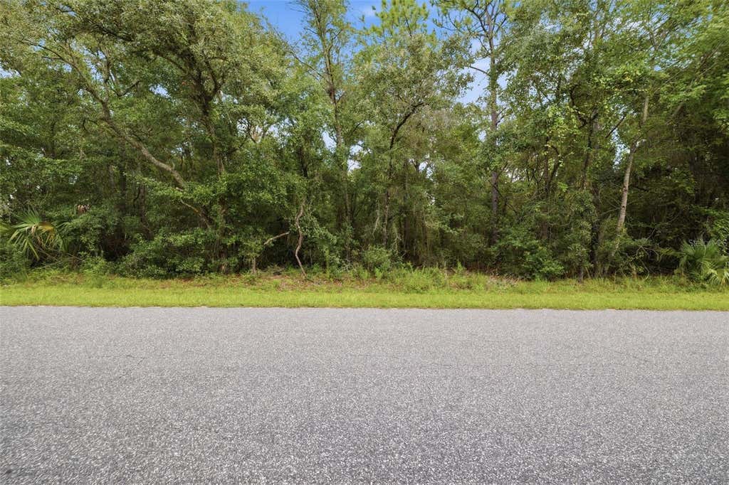 Photo of 1295 E Ray Street, Hernando, FL 34442 (MLS # TB8537392)