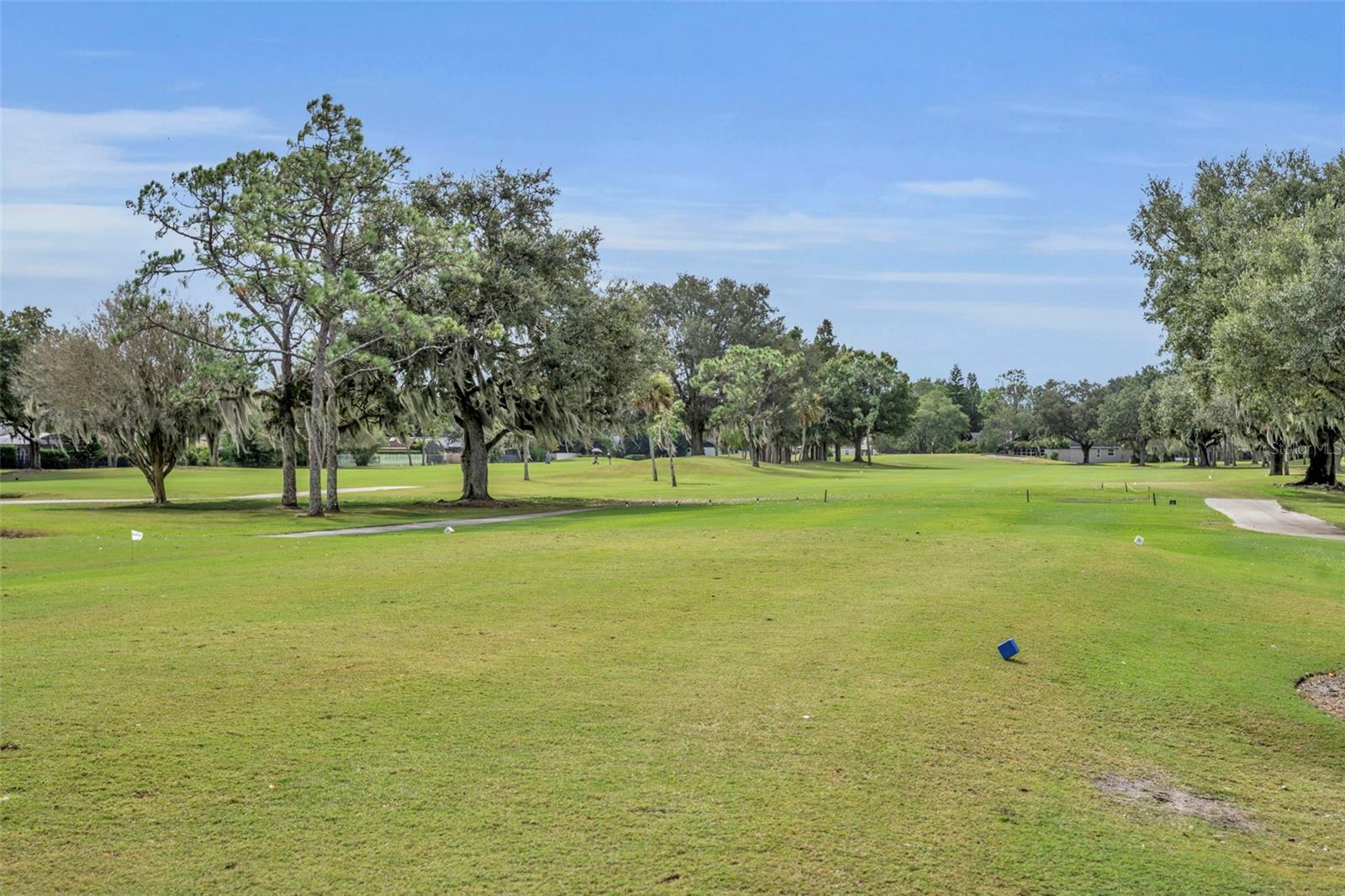 GREENVIEW AT WINTER PINES - Residential