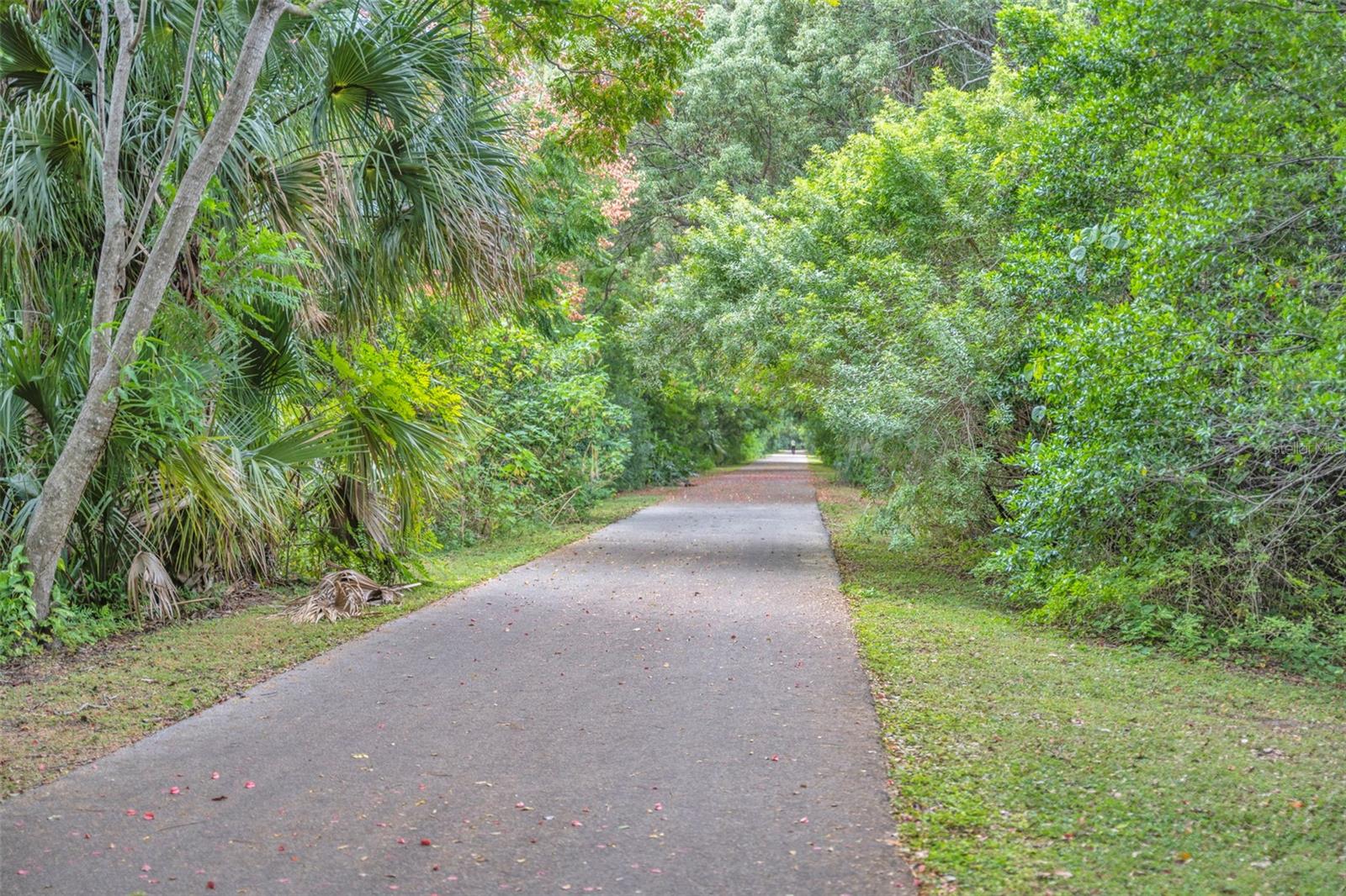 GREENVIEW AT WINTER PINES - Residential