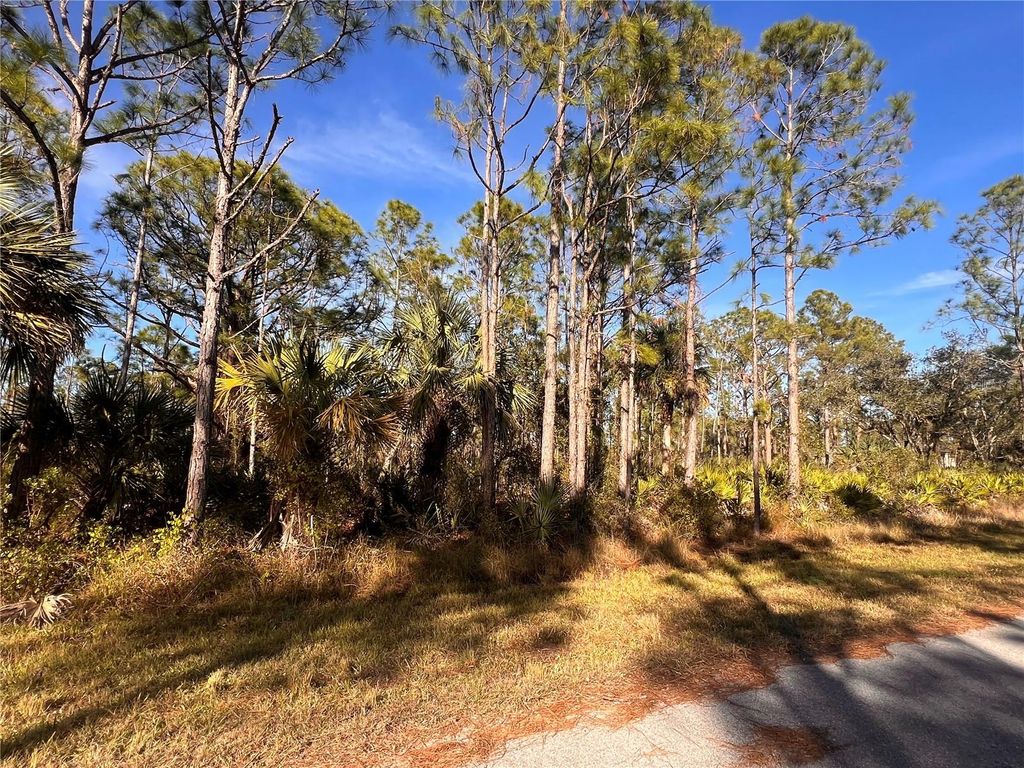 Photo of 13092 Harbison Avenue, Port Charlotte, FL 33953 (MLS # A4636160)