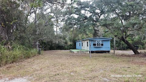 27721 NANCY AVENUE PAISLEY FL 32767