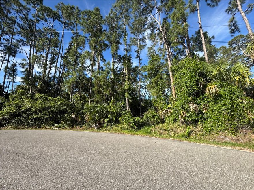 Discover the perfect opportunity to build your dream home on this spacious 44,301 sq. ft. lot located in the growing community of North Port in Sarasota County. Priced attractively, this oversized property offers ample space to create your ideal Florida retreat while enjoying both privacy and flexibility.

With generous frontage and surrounded by newer homes, this parcel provides an excellent setting for a custom home, outdoor living areas, and additional features such as a pool, workshop, or garden. Situated on a paved road, the property offers convenient access while maintaining a quiet, residential feel.

Located in Flood Zone X, this property provides added peace of mind. With no HOA restrictions, you have the freedom to design and build exactly what you envision.

Conveniently positioned near schools, shopping, dining, and major roadways, this location supports both comfort and convenience in everyday living.

Whether you're ready to build now or looking for a smart investment opportunity, this property offers endless potential to own your piece of Florida paradise.

Don’t miss the chance to bring your vision to life—schedule your visit today and explore everything this property has to offer.