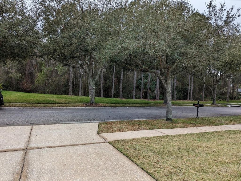 Photo of 8336 Torrington Avenue, Tampa, FL 33647 (MLS # TB8494639)