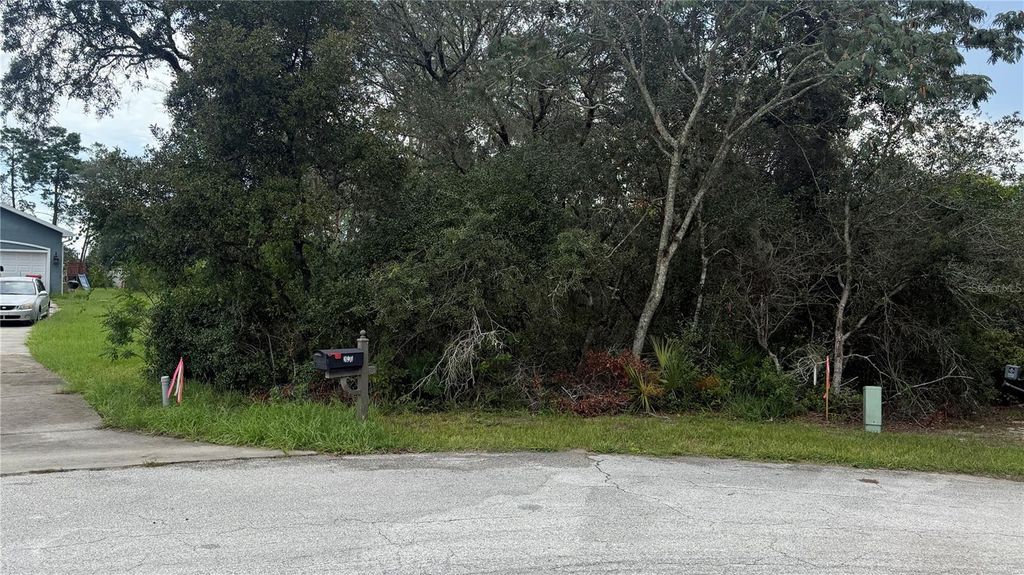 Photo of Tbd SW 39th Court, Ocala, FL 34476 (MLS # OM708203)
