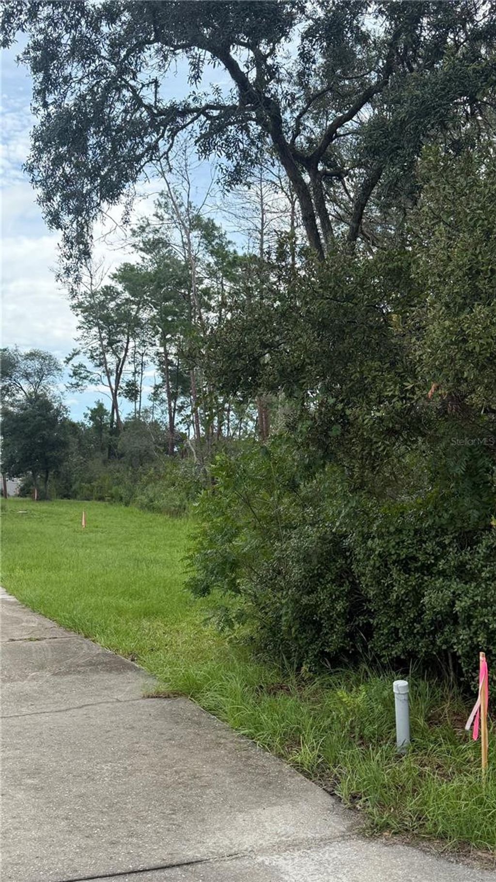 Photo of Tbd SW 39th Court, Ocala, FL 34476 (MLS # OM708203)