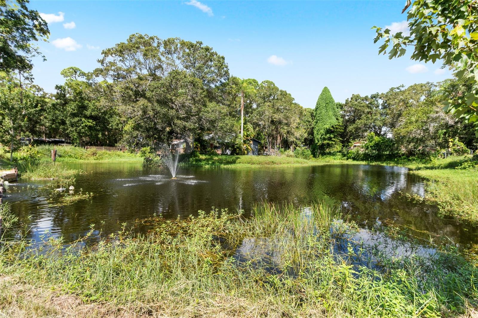 PINELLAS FARMS - Residential