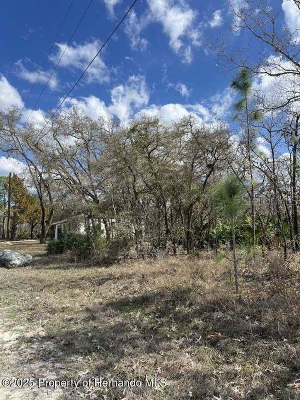 Photo of 10180 Zebrafinch Avenue, Weeki Wachee, FL 34614 (MLS # TB8332758)