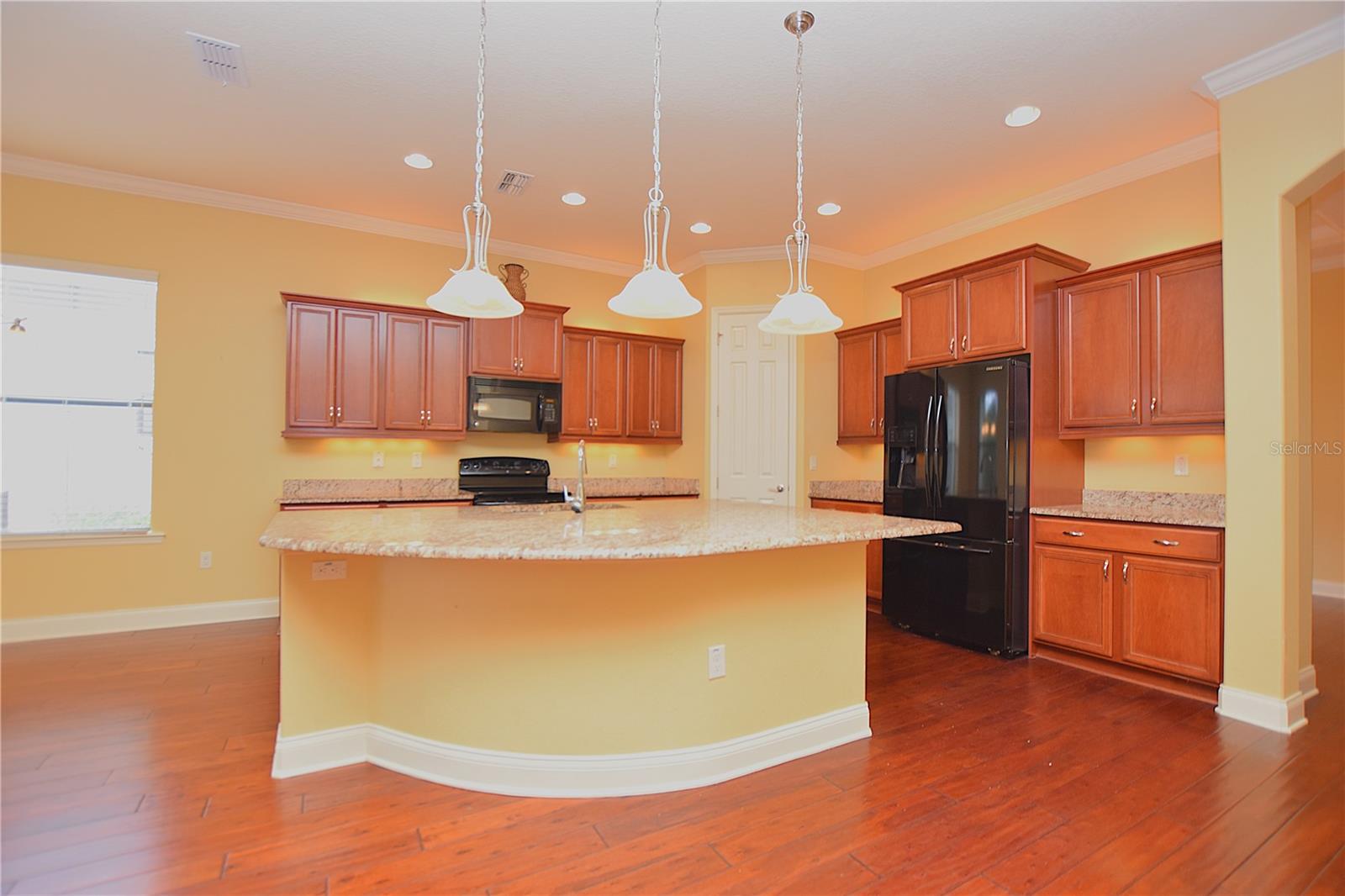 6408 CHRISTINA CHASE PLACE