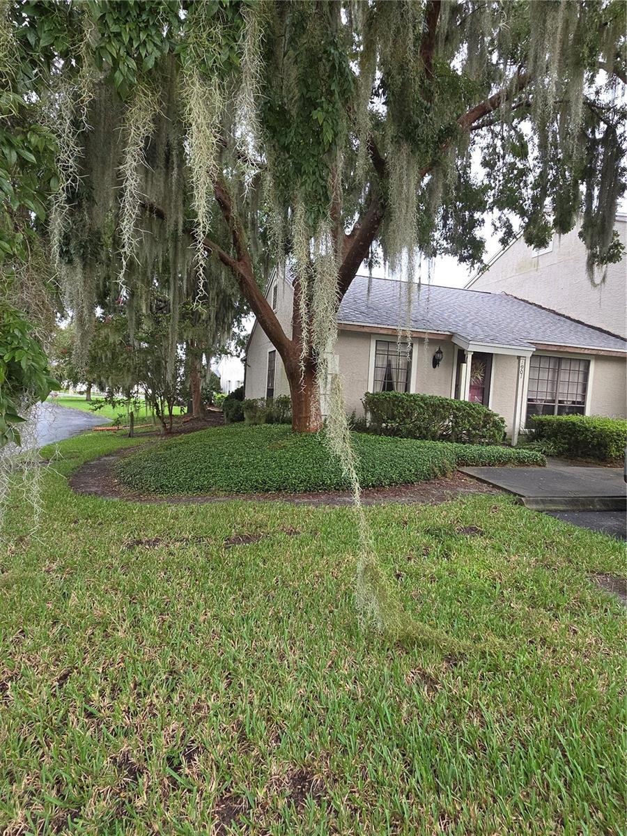 Move in ready with all furnishings, art & accessories included. Lovely community with pool and exceptionally convenient location. Great floorplan with real hardwood floos in main area. Single floor end unit with a nice shade tree corner location. New carpet in bedroom. Unit currently counted within 20% of allowable rental units in Casa Park. But somebody will want to call in HOME! Quiet back screened porch just waiting for you. Exterior paint scheduled.