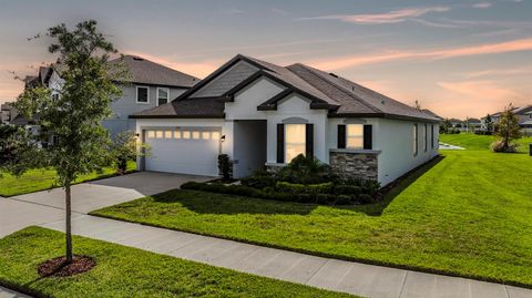 A home in WESLEY CHAPEL