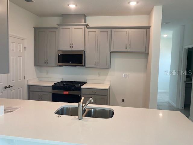 27329 AFRICAN FISH COURT