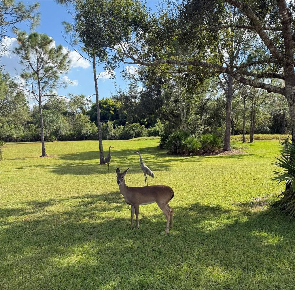 Photo of 1408 Oak Hammock Road, Sarasota, FL 34240 (MLS # A4669875)