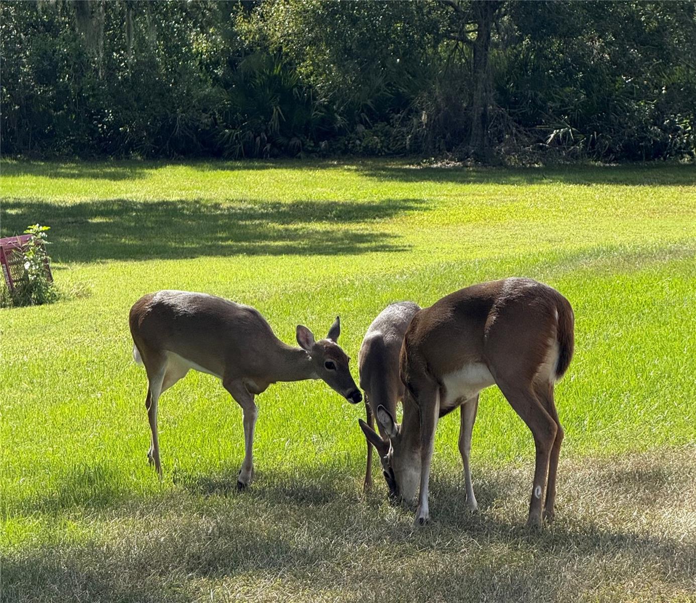 BERN CREEK THE RANCHES AT - Residential
