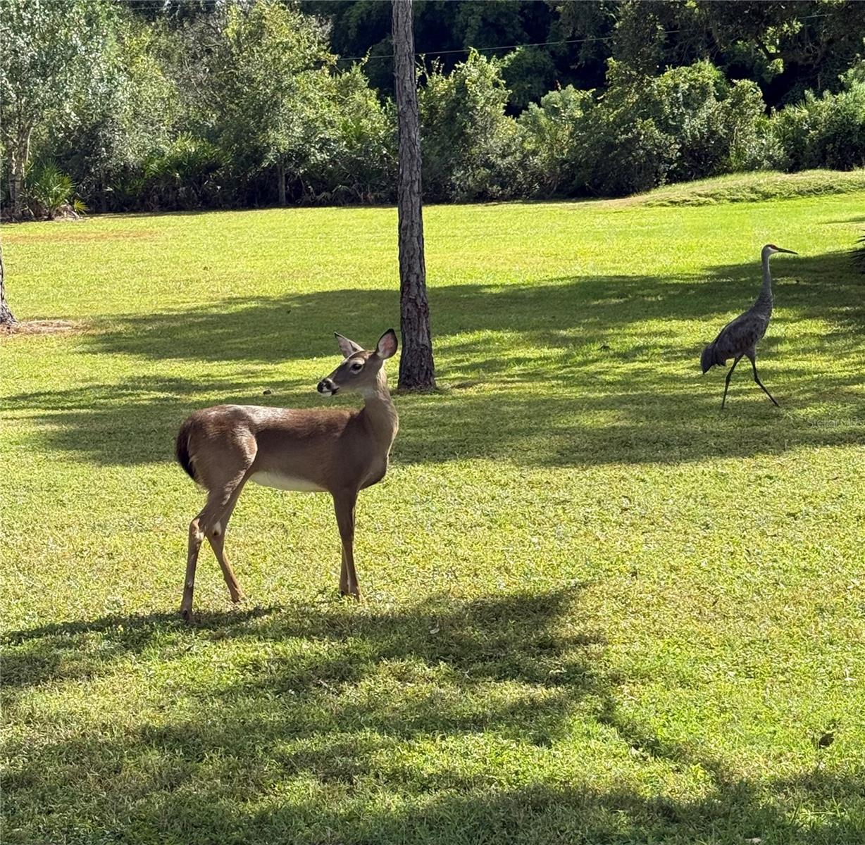 BERN CREEK THE RANCHES AT - Residential