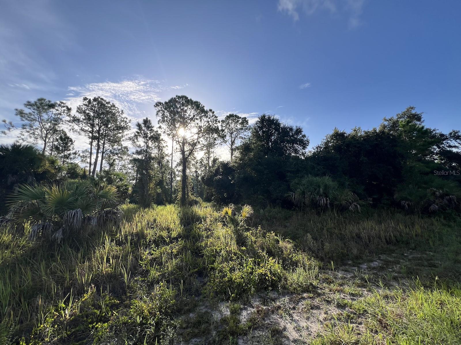 HAMERTON ROAD, NORTH PORT, FL, 34288 1 HAMERTON ROAD