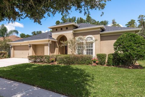 A home in WESLEY CHAPEL