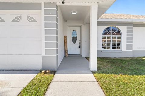 A home in LUTZ