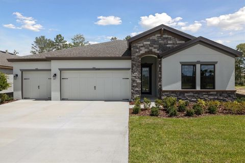 13132 LONG VALLEY CIRCLE SPRING HILL FL 34609