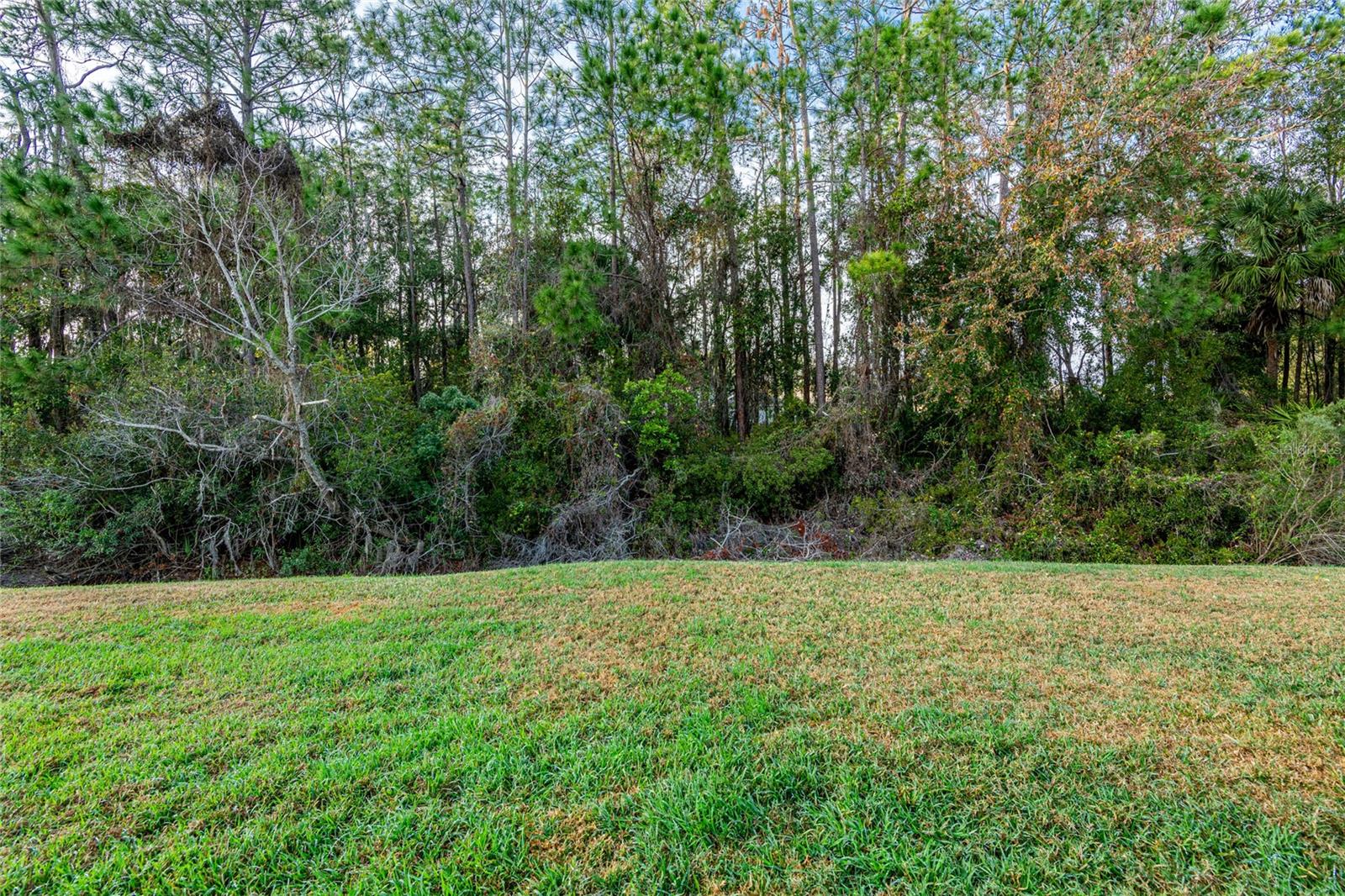 MEADOW POINTE PRCL 12 - Residential