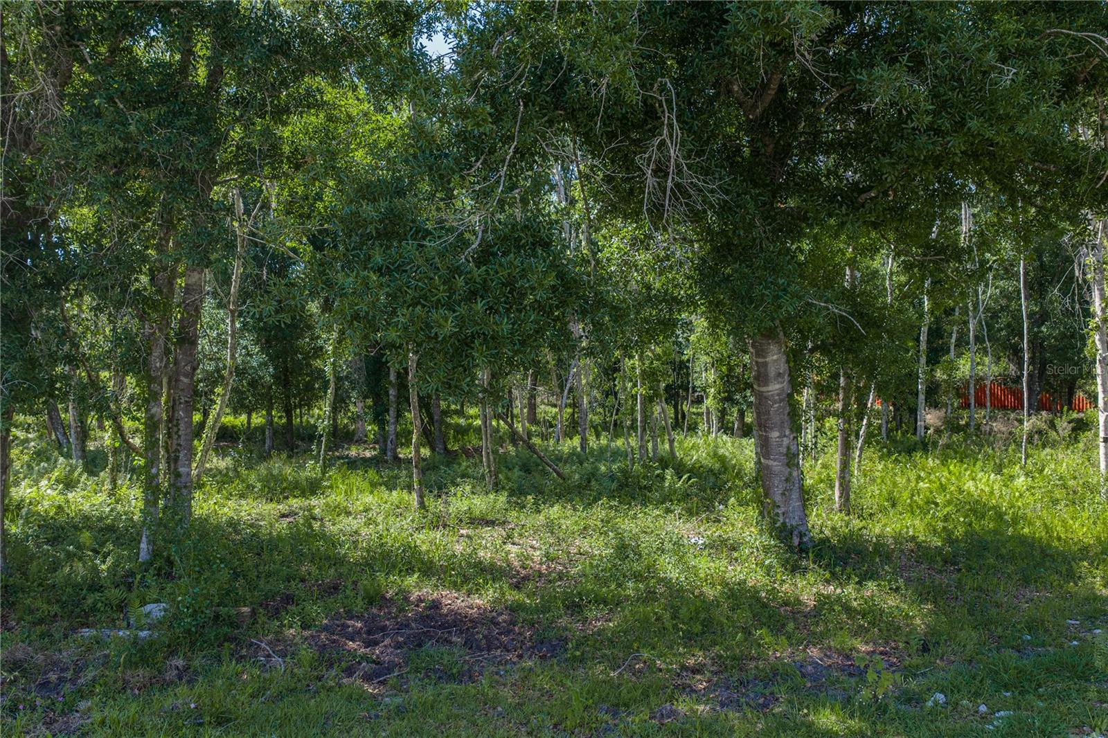 ACREAGE - Land