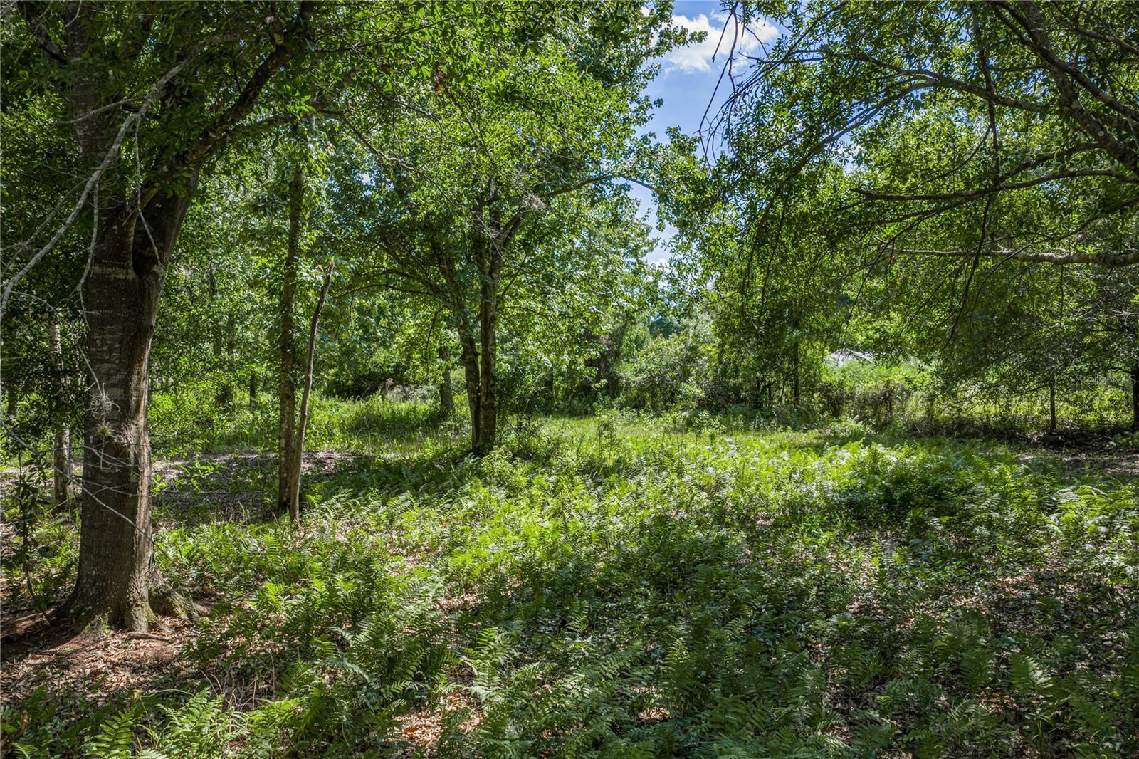 ACREAGE - Land