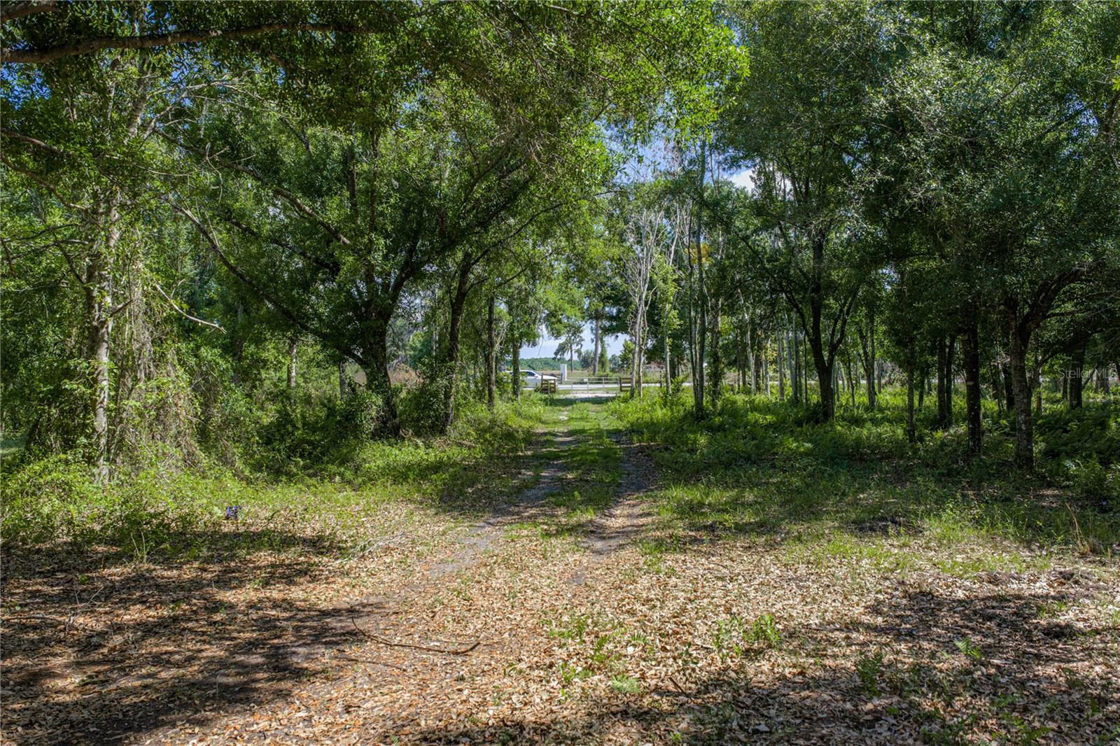 ACREAGE - Land