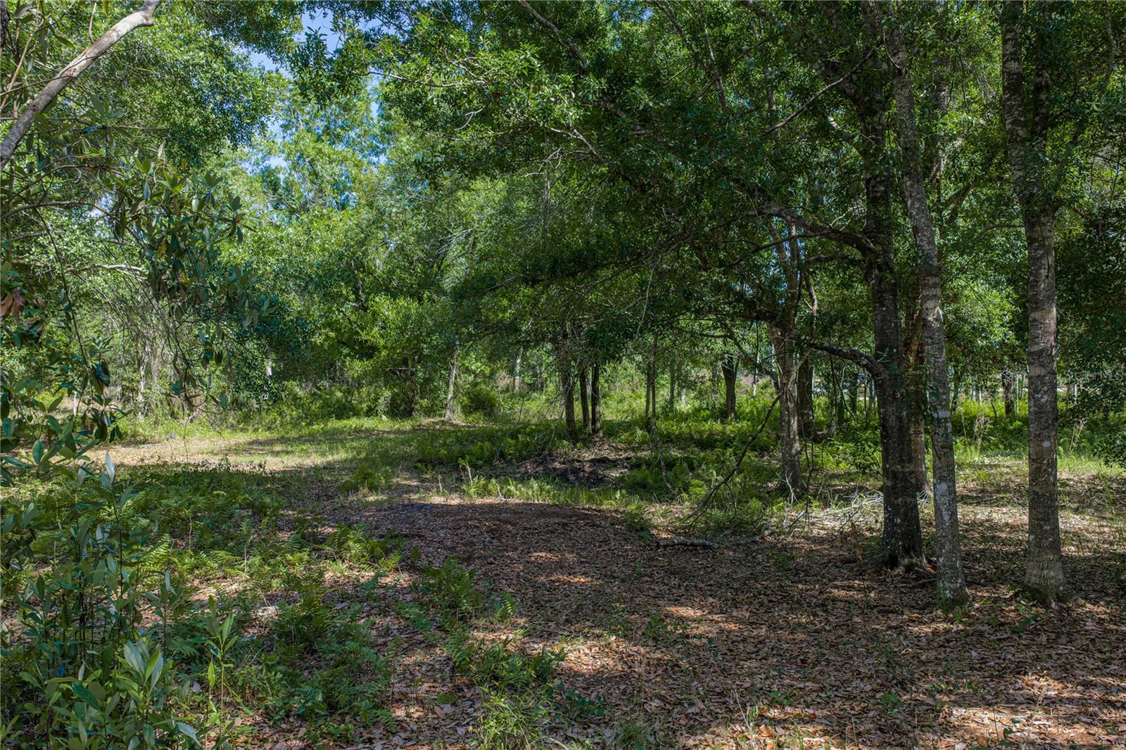ACREAGE - Land