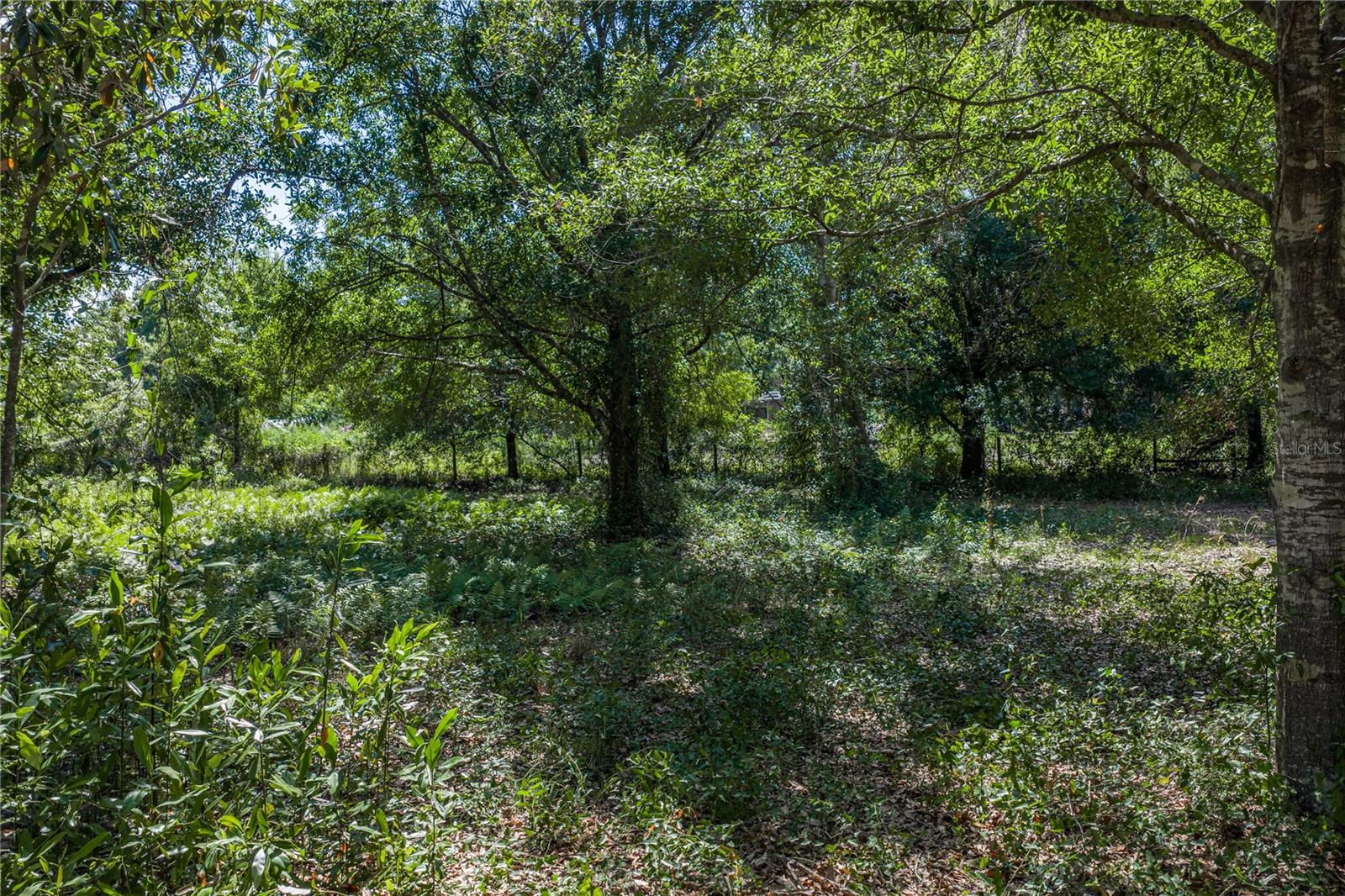 ACREAGE - Land