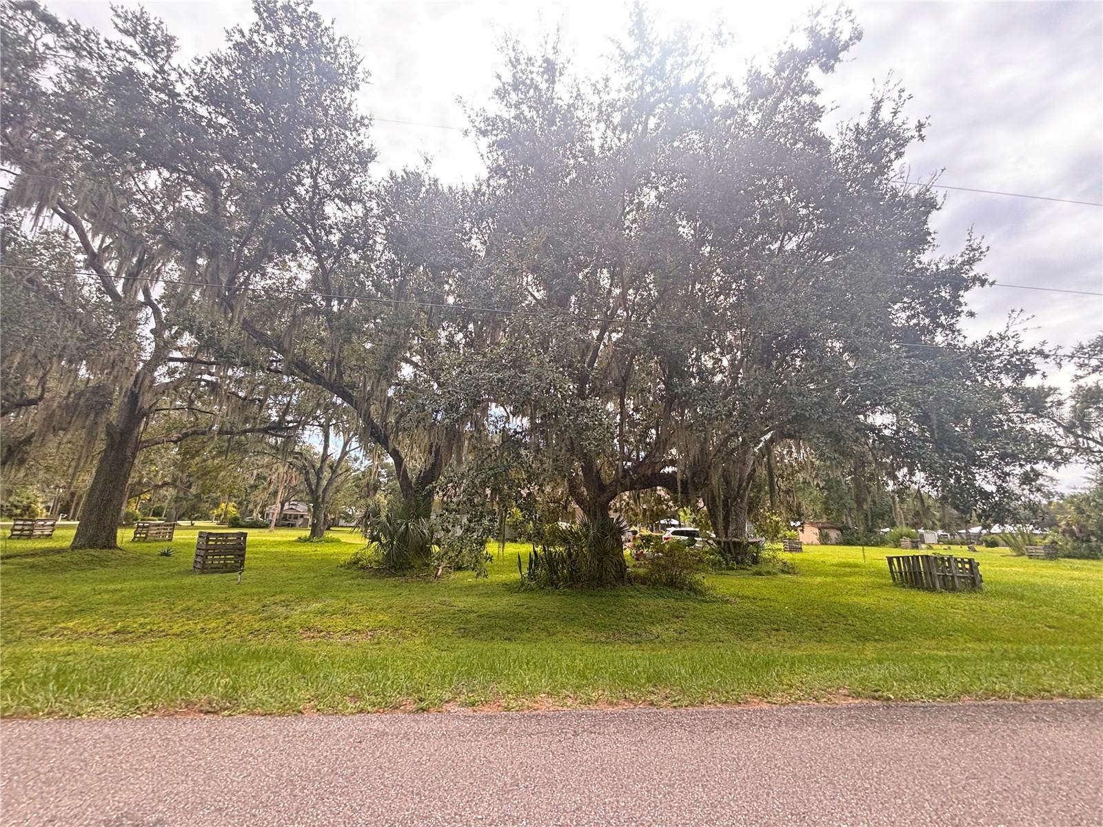 ARCADIA - Residential