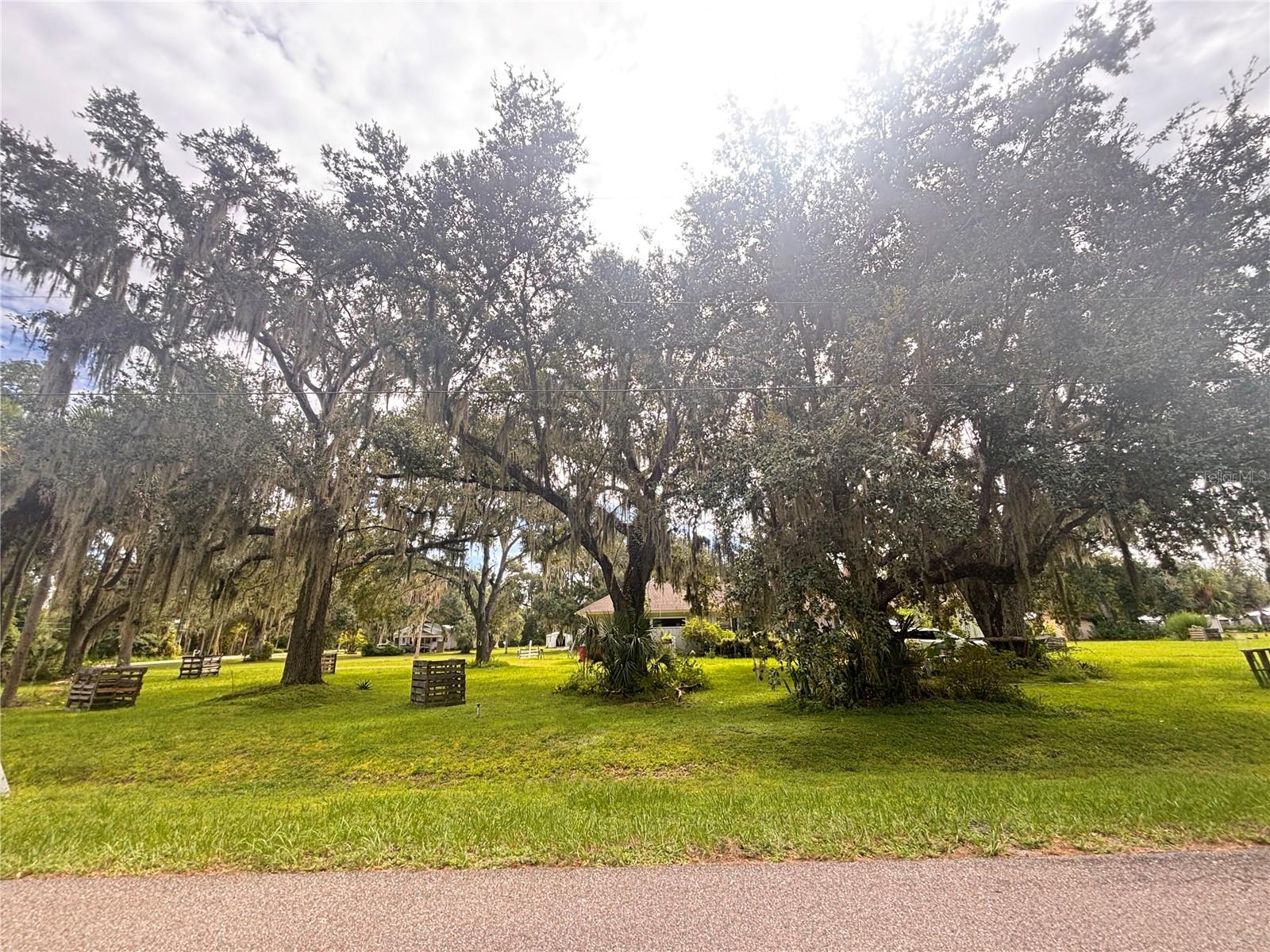 ARCADIA - Residential