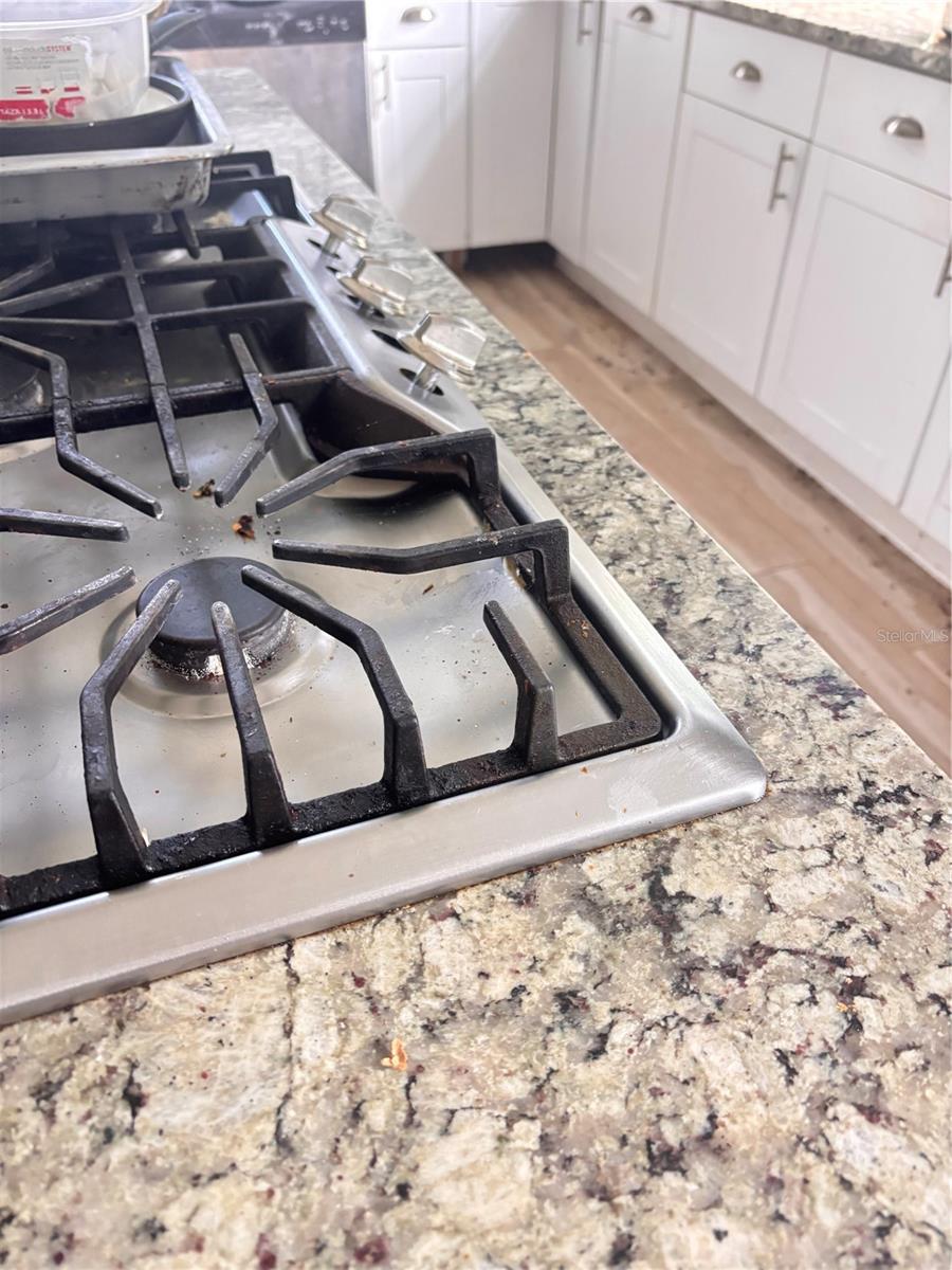 ARCADIA - Residential