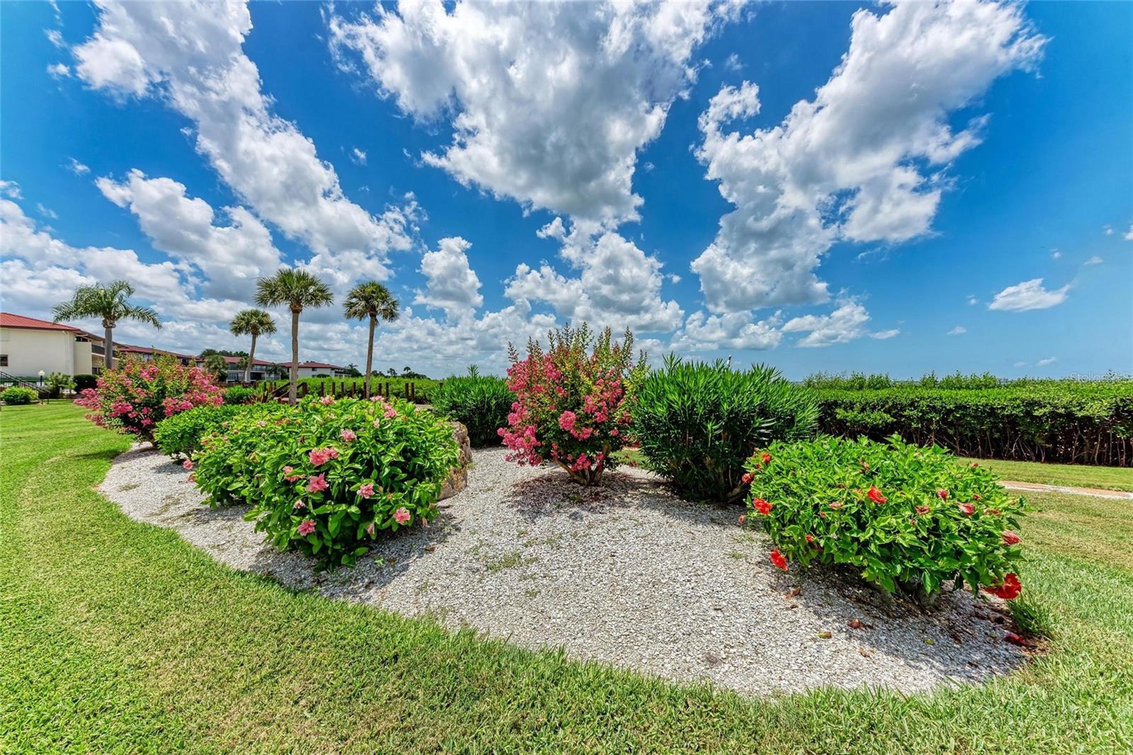 THE TERRACES AT WILD OAK BAY - Residential