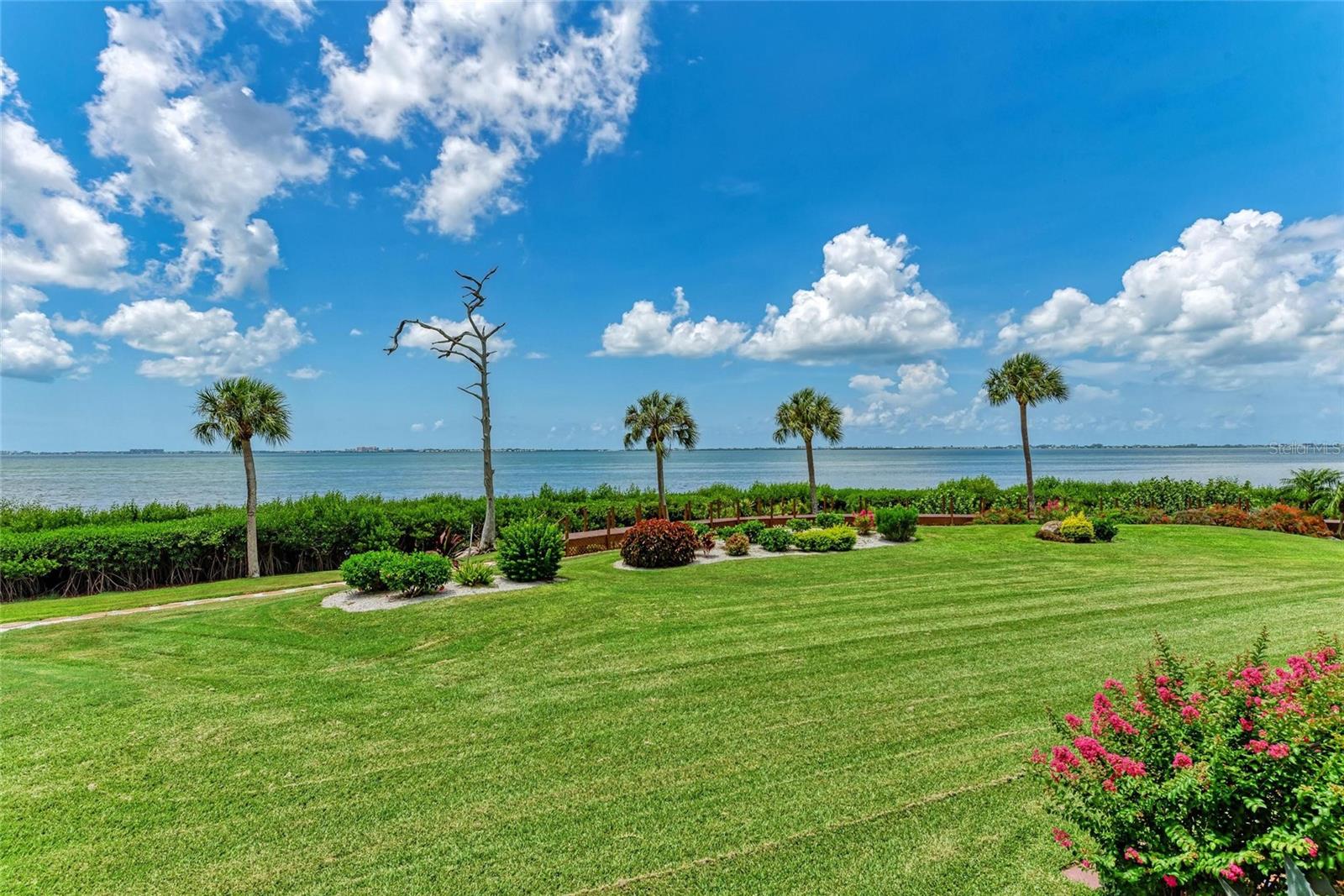 THE TERRACES AT WILD OAK BAY - Residential