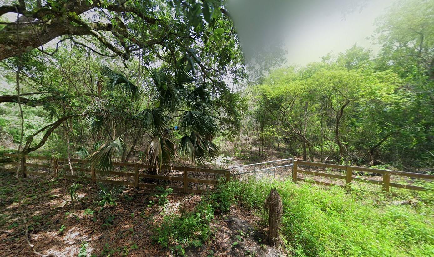 1210 HEART PINE DRIVE