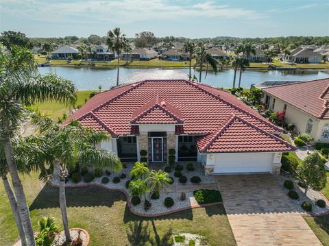 1123 SIGNATURE DRIVE SUN CITY CENTER FL 33573